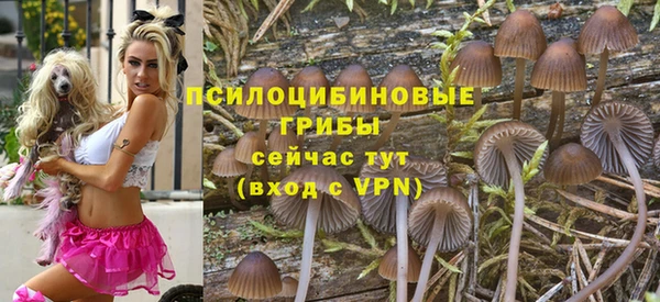 тгк Алзамай