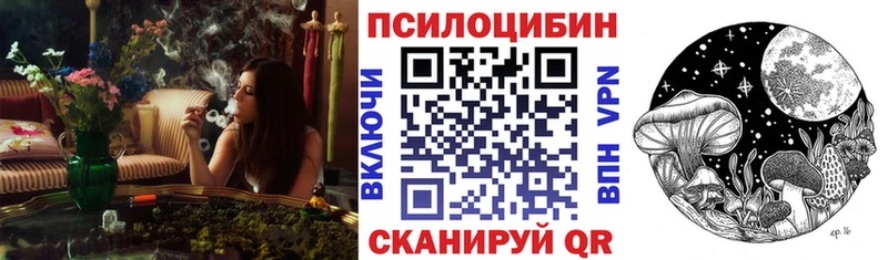 купить закладку  гидра онион  это наркотические препараты  Александровск  Псилоцибиновые грибы ЛСД 
